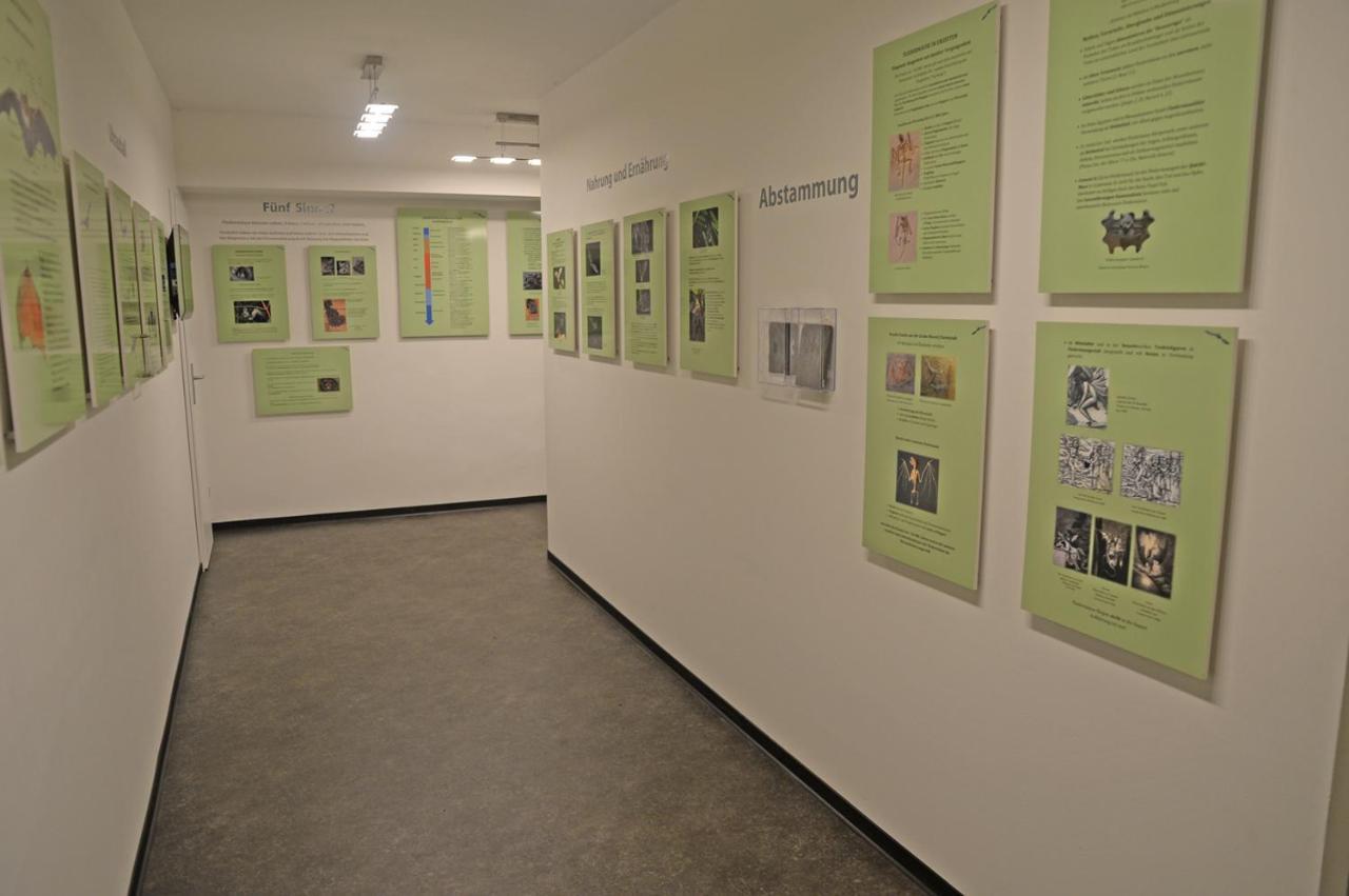 Pension Zur Fledermaus Waren  Dış mekan fotoğraf